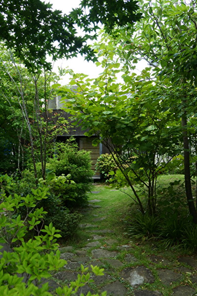 LdRSHEr4vfBBpYA1700354980