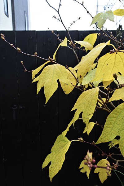 TWXnhlwi6eXJz9m1700984614