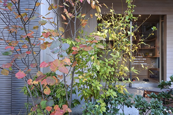 VClkOZMowyyixfW1700797414