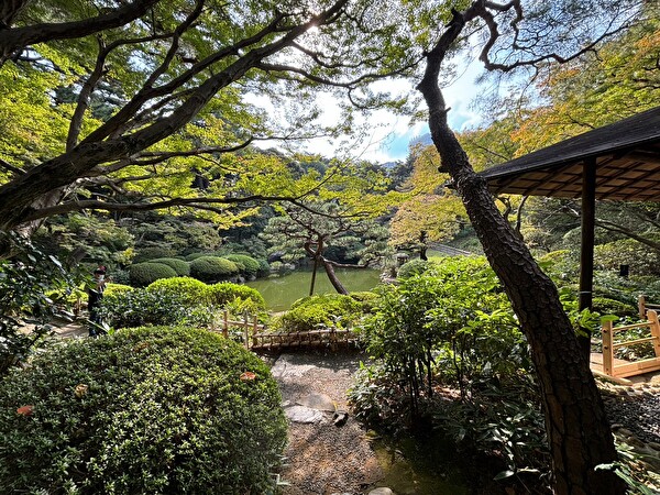 WcogixkRU3ARUN71699236567