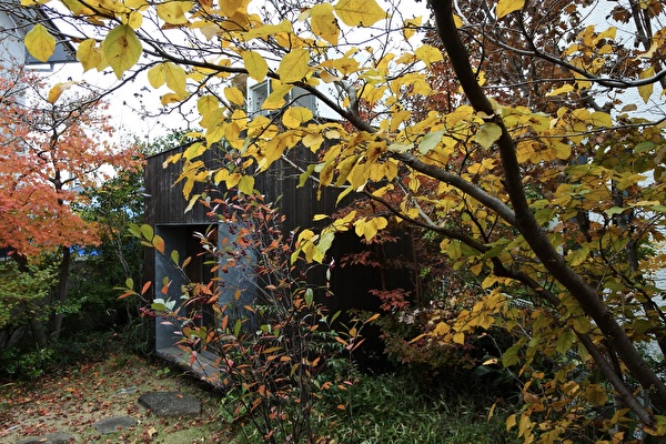 bv7pUD4HTIXNWT31700984548