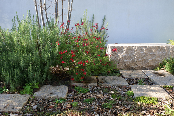 ed5iuCVHMSfhPtS1700362397