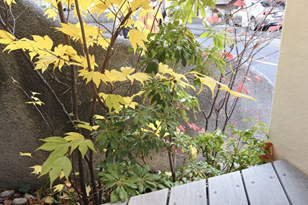 金運が上がりそうな秋