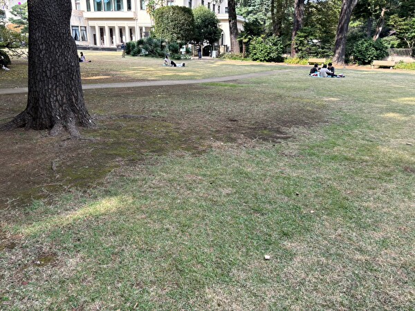 pbNMGCOaA3nmZ1t1699236425