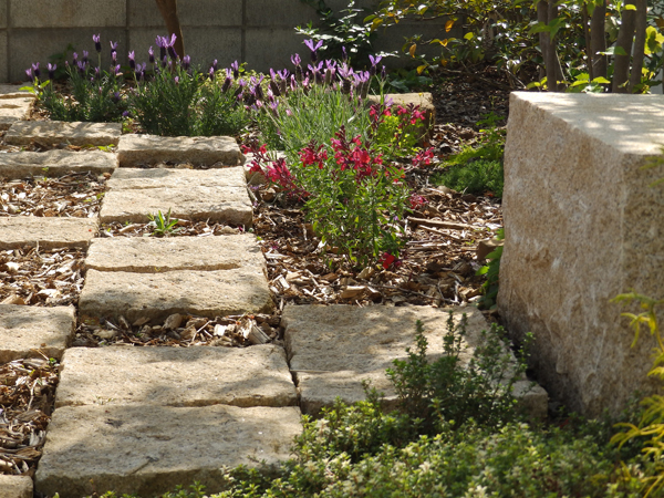 x71QZjotzVs8Plj1700362416