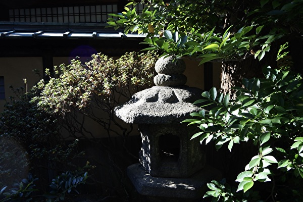 1RhdpHmIZ0lrhjT1703299475