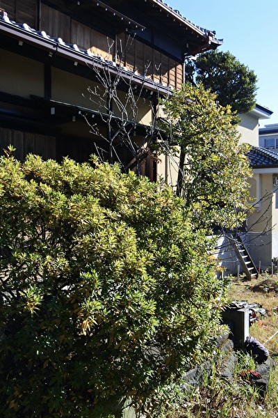 2F0xGHWBevOshT41703299625