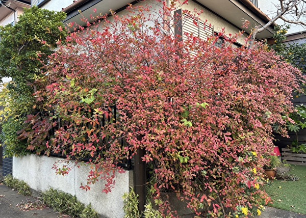 33dGGtUFaq8F0hq1702886534