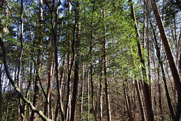 3QpCYa4eUtoBrcf1703995552