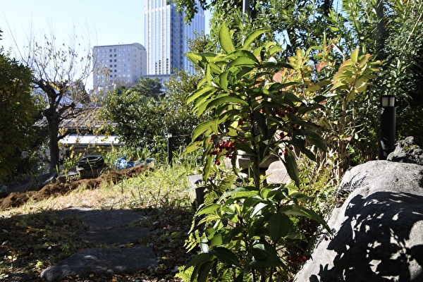 8ziuRLNagKvF7EQ1703299543