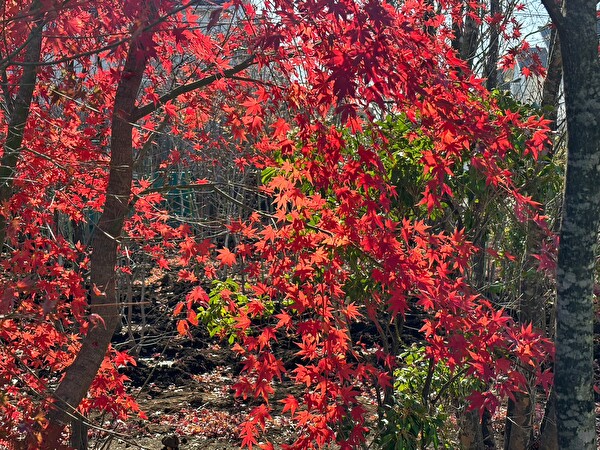 9EdLa1HYVkGiUSh1702886585