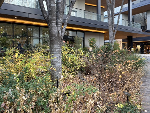 B4SSsnC4fLtbQAX1702886616