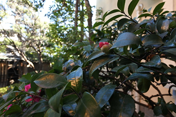 DkhfhYRTxETvp951703299361