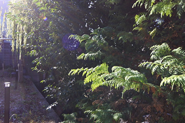 EFBHGuxAnqfUPyq1703299437