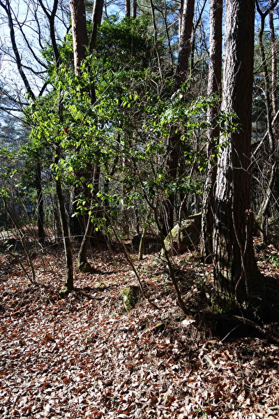 HIxPxXx7IUq913G1703995598