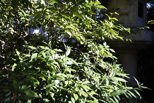 KLAxmHdbxLsk1QP1703299413