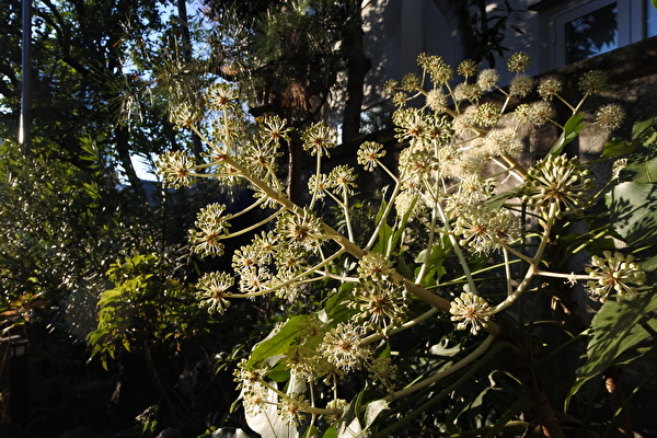 NDJo59UfGfnrEEn1703299346