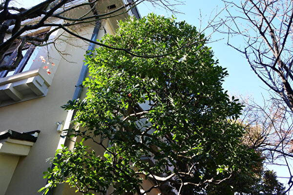 UshPybWwXPSBur11703299454