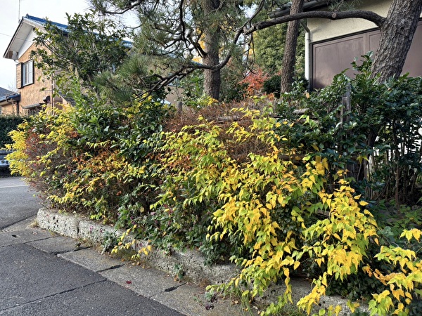 XJAcXb7lS9WZ7VU1702887880