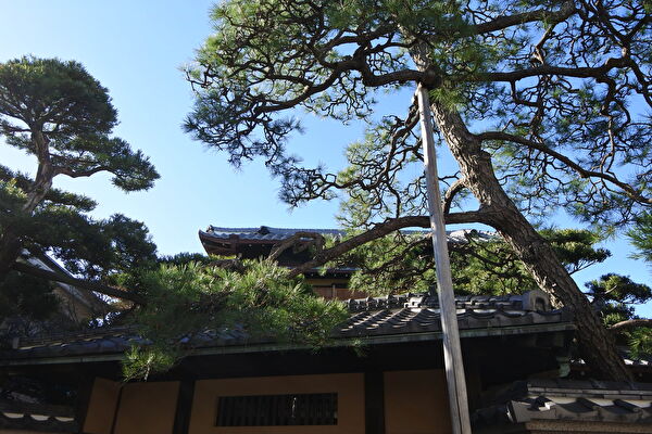 gGzffsoIid5ww2y1703299578