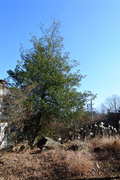 hX7nzPpM44xmCww1703995652