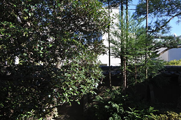 jAv3p7keRAg2N5Z1703299560