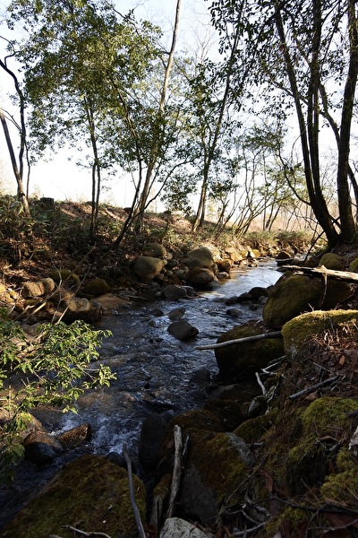 o76ShTZ1zeSbArV1703995614