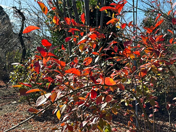 on5kVgb8KurX9oy1702886570