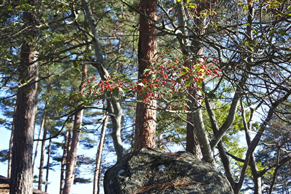 qxI7HR9KT2luQhS1703995507