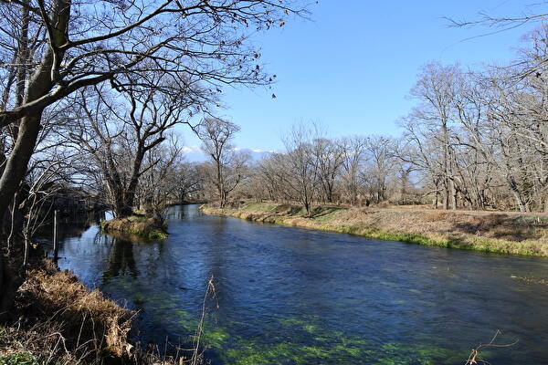 xF27zTwLRrrhTuA1704001017