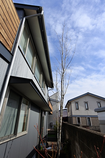 0MnjOwH0bxxTqMD1705030970