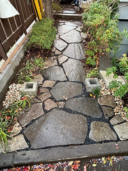 49NYQ1iHl3vnu6L1705626233