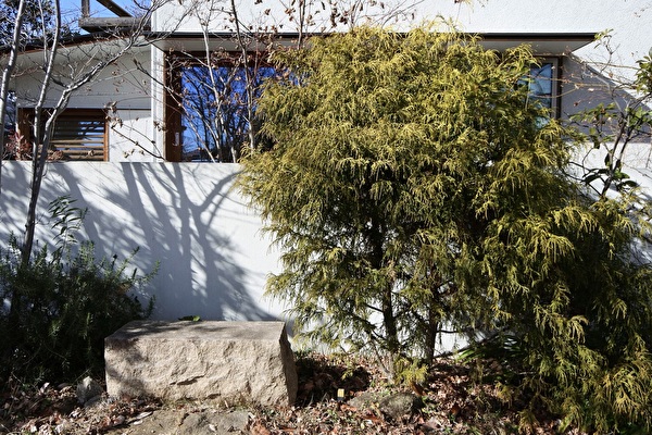 FCIxnkhSC2DR3X41705390558