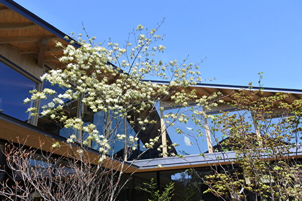 ML1VNbrLuzHws3D1705030791