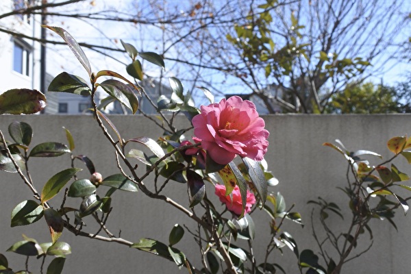 PqrRh1CfacHzJXE1705390374