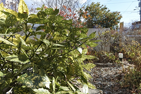 PwrZy1SPy6vsWFe1705390472