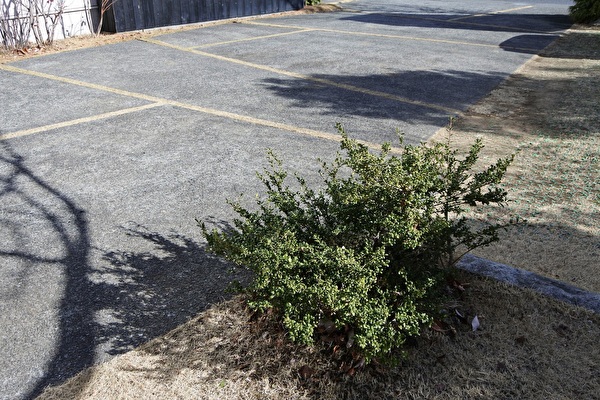 QIVhP5QeTQ9XOai1705390542