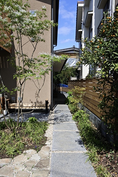 XRv6Fai5jRmO7zt1705030831