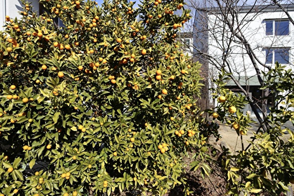 XU349V4RjUEjtNN1705390429