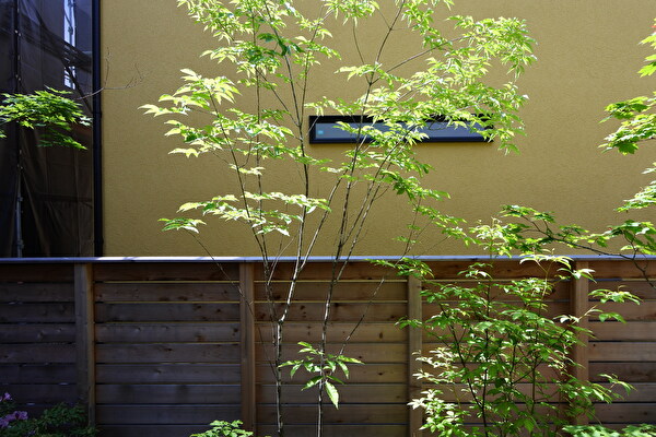 nJgDKnEaa7lgmO31705030918