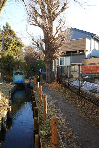 qtvUO3nhshbKfHF1705030952