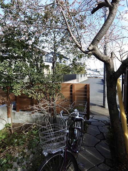 sFC2eu3OyT1PdsT1705626199