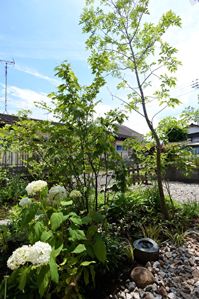 wIh23f5R7tsCGIB1705030771