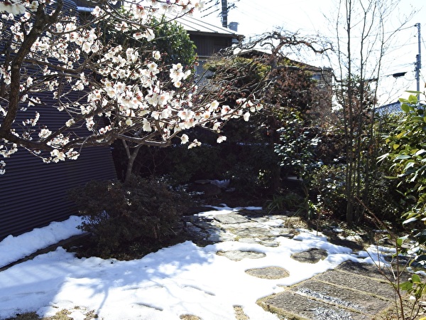 つぶ庵の白い庭〜石の息吹