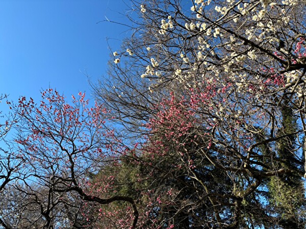 rvpc9Q53nrWHZ591707630888