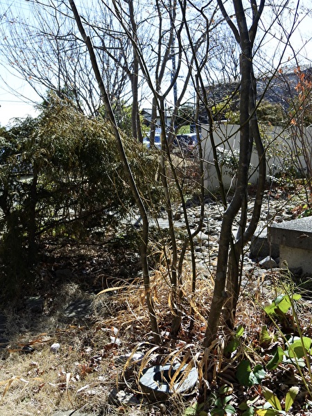 yPHEfEfk6z1F8cG1707630836