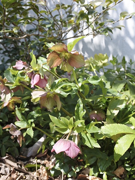 8OuRRny7qDIS2yq1711608592