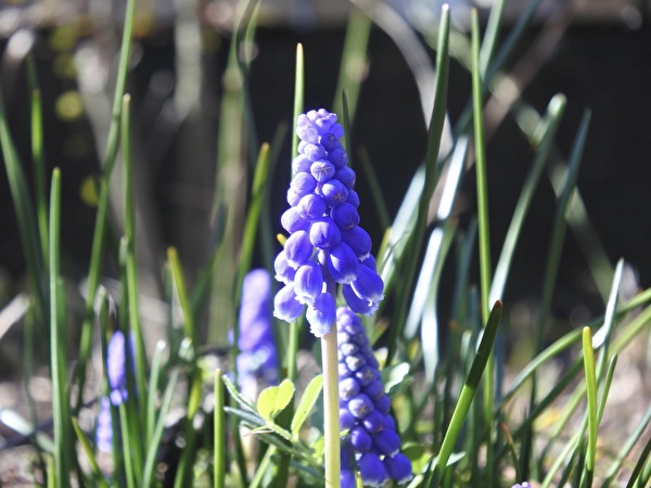 DUuYhomv22hHgbW1711514355