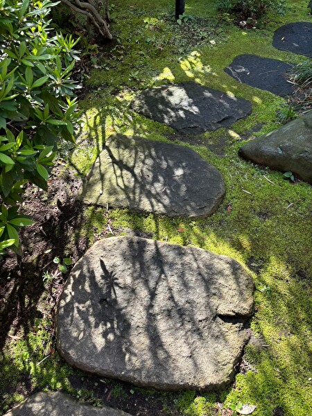 H1WyJPoff7FjwNY1711848271