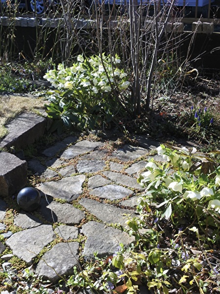 NDASkzT35IxG1nB1711514375